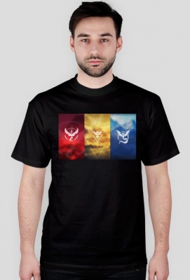Koszulka Pokemon Team - Złap je wszystkie!