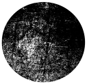 DOT1