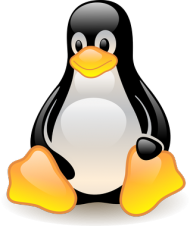 Kubek kolorwy Linux