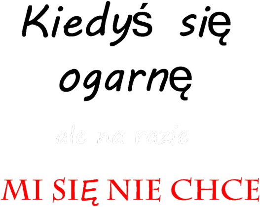 Koszulka Damska Kiedyś się Ogarnę