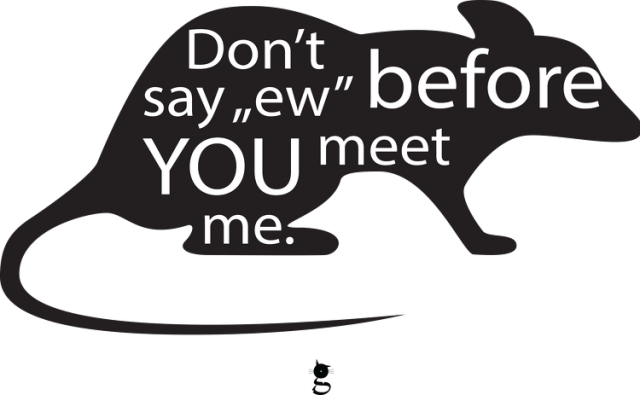 Koszulka damska - DON'T SAY "EW" BEFORE YOU MEET ME
