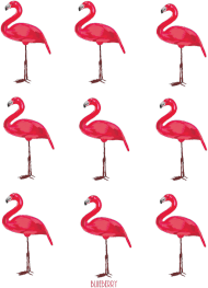 Flamingi 9 - bluza damska
