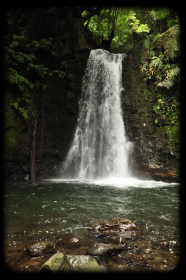 Azorean Waterfall Shirt