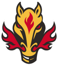 Koszulka z Logo Team Fire Horse