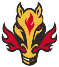 Kubek z logo Team Fire Horse