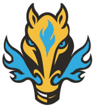 Koszulka z logo Team Fire Horse Blue