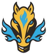 Kubek z logo Team Fire Horse Blue