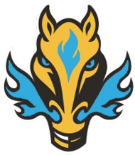 Kubek z logo Team Fire Horse Blue