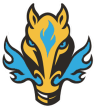 Koszulka z logo Team Fire Horse Blue (V2)