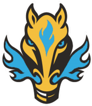 Bluza z logo Team Fire Horse Blue (V2)