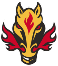 Koszulka Damska z logo Team Fire Horse
