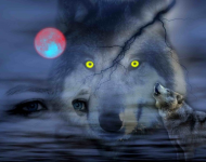 Bluzka - magiczny wilk