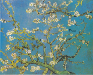 Bluza Vincent van Gogh Kwitnący migdałowiec