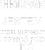 NIEPEŁNOSPRAWNY