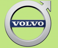 Bluzka z logiem volvo