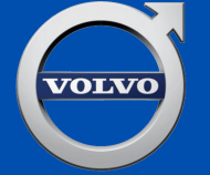 Bluzka z logiem volvo