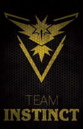 Team Instict