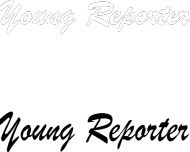 Young Reporter