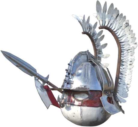 Husaria Polandball Męska