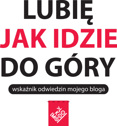Podkoszulka, prawdziwego, blogera