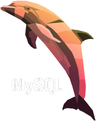Koszulka dla Administratora Baz Danych MySQL