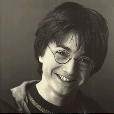 Harry Potter Portret (T-SHIRT WOMAN - KOSZULKA DAMSKA)