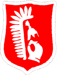 Koszulka - Legion Orła Białego (męska)