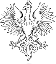Koszulka - Orzeł Rady Regencyjnej (męska)