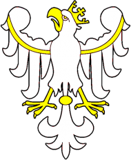 Koszulka - Orzeł Jagiellonów (męska)
