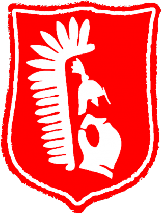 Koszulka - Legion Orła Białego (męska)