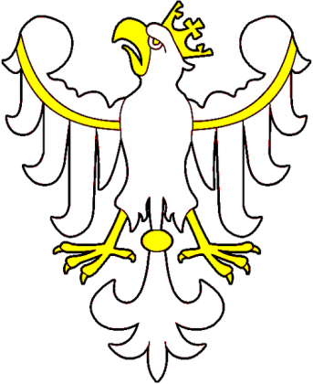 Koszulka - Orzeł Jagiellonów (męska)