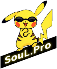 Bluza męska z kapturem Soul.Pro Team