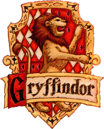 BLUZA GODŁO GRYFFINDORU