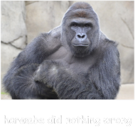 HARAMBE MĘSKA