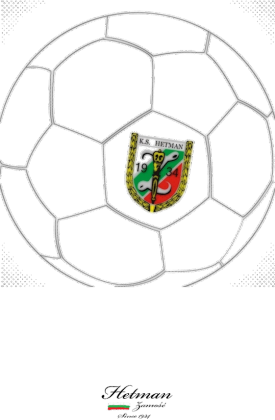 Hetman Zamość - Ball