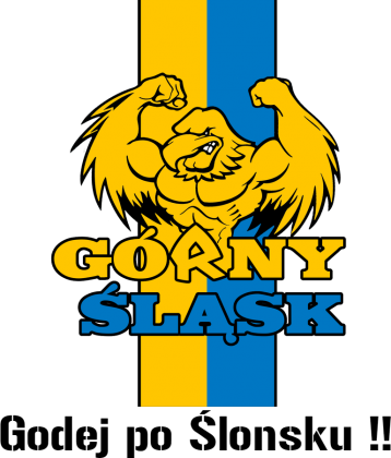 Bluza Godej Po Slonsku