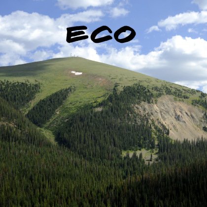 Torba ECO