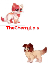Cherry Profil