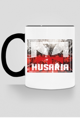 Husaria - Project 71