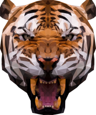Koszulka ♀ - Tiger