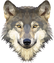 Koszulka ♀ - Wolf