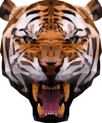 Koszulka ♂ - Tiger