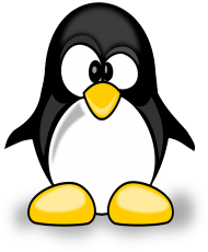 Podkoszulek damski - Pingwin