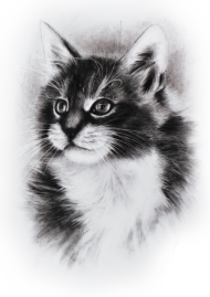Damska koszulka bez rękawów - koci portret