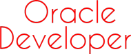 Oracle Developer