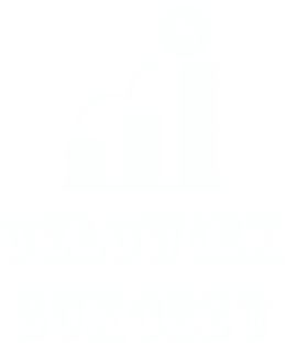 Koszulka "człowiek sukcesu"