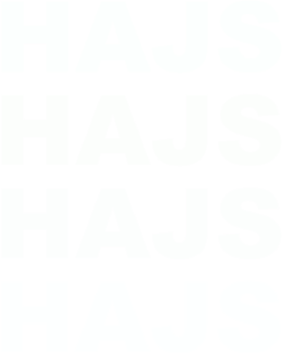 Koszulka "hajs"