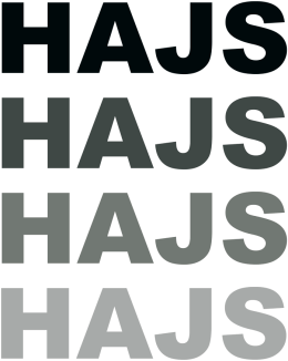 Koszulka "hajs"