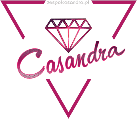 Koszulka V-neck czarna CASANDRA 1 (logo przód i tył)