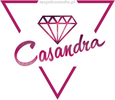 Koszulka V-neck czarna CASANDRA 1 (logo przód)